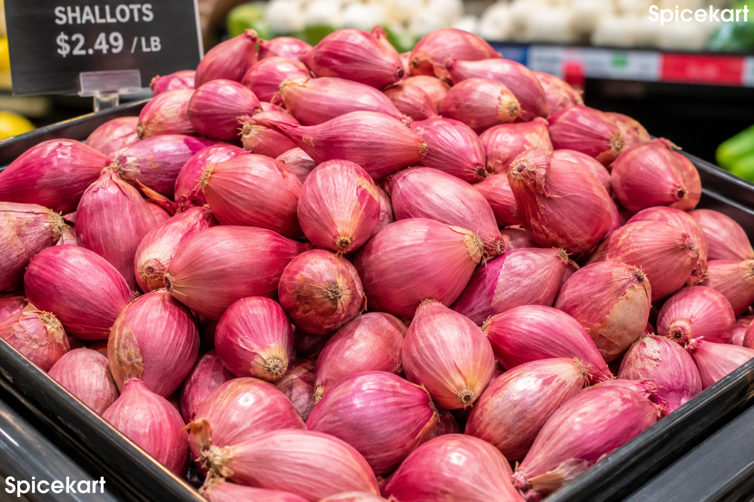Red Shallot Small Pearl Onion