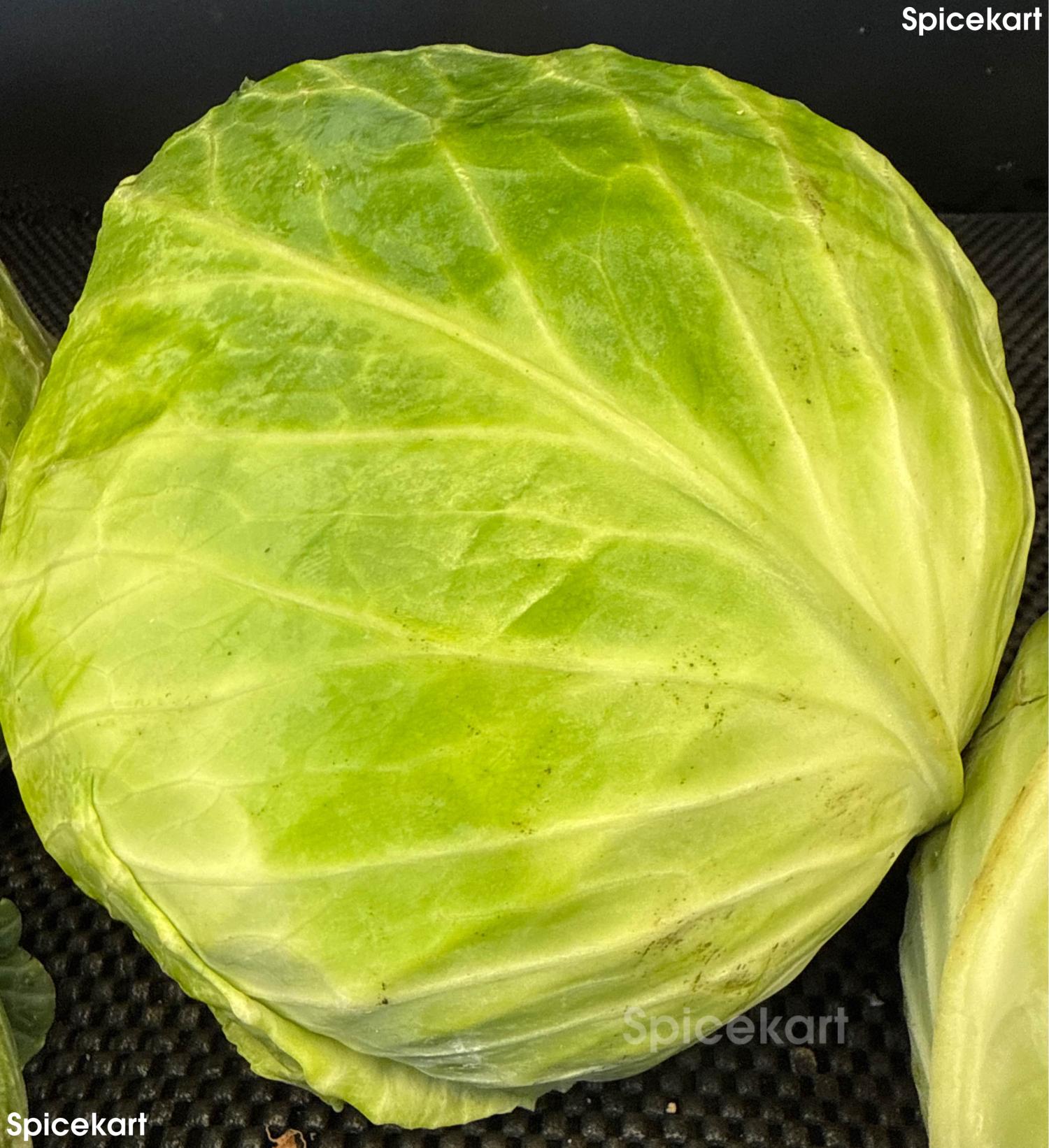 Cabbage