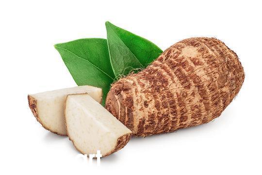 Taro Big (Root)