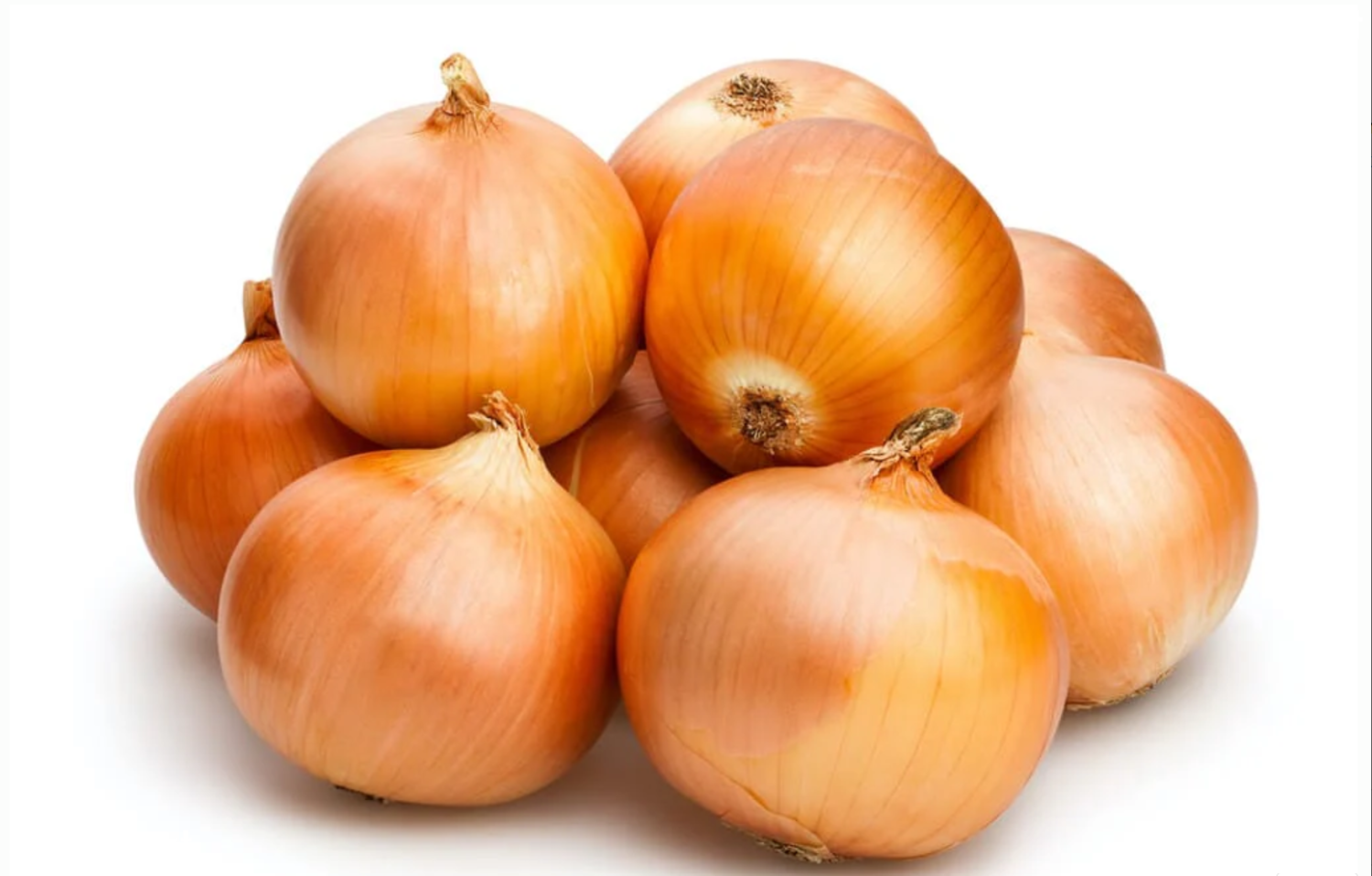 Yellow Onion